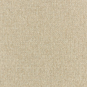 Heartland Fabrics Revolution Performance R1-22 Fritter Fabric